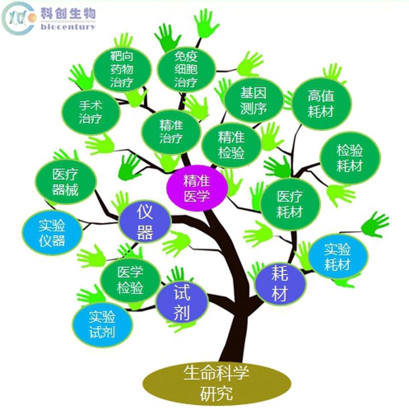 生物科技公司的创新之旅：推动未来健康